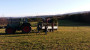 20160109 WBaumAktion 02.jpg